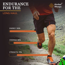 Load image into Gallery viewer, Herbal Sherpa KX901 – Pre-Workout &amp; Recovery with Rhodiola, Shilajit &amp; Reishi
